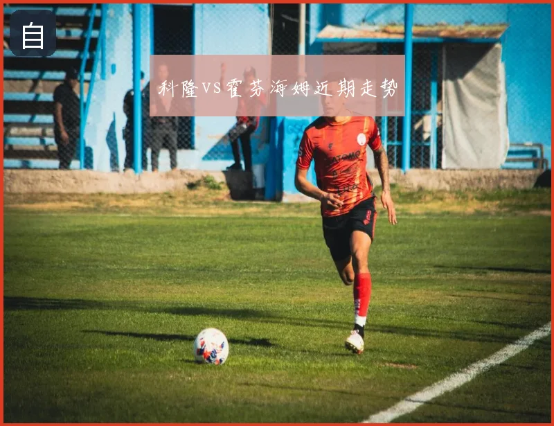 科隆vs霍芬海姆近期走势